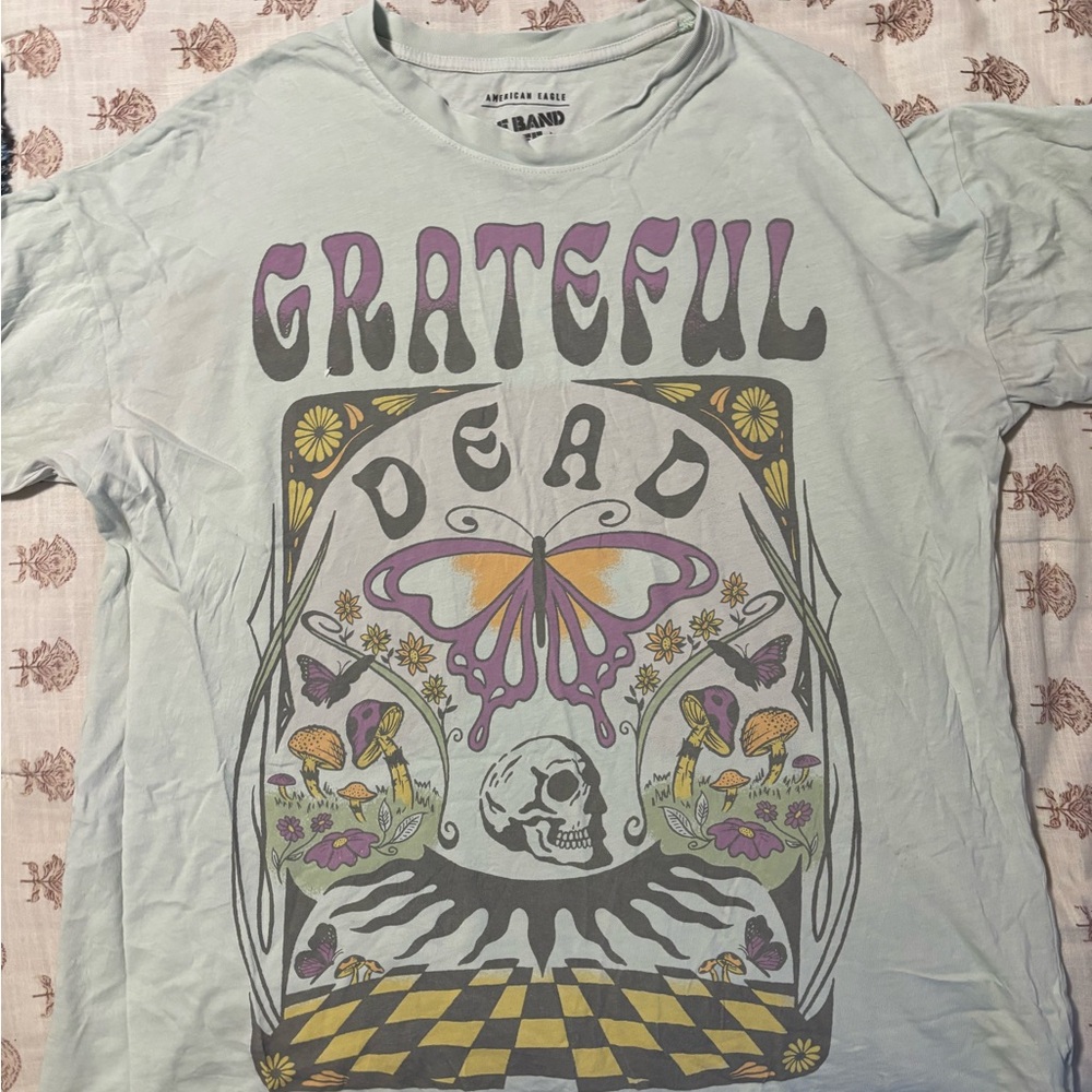 American Eagle Outfitters Oversized Band Tee in Light Blue and Purple